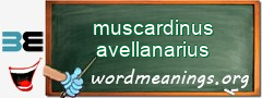 WordMeaning blackboard for muscardinus avellanarius